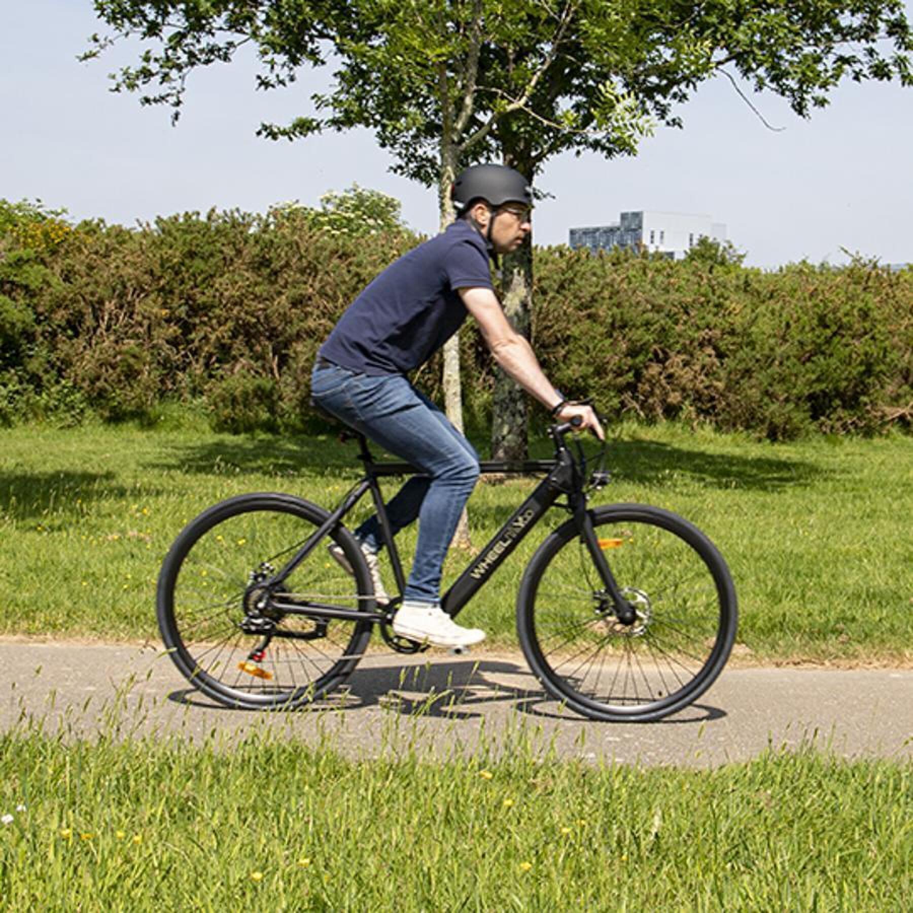 Elektrische fiets met 250w-achtermotor Wheelyoo WY 622