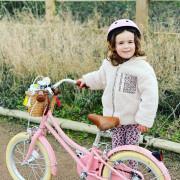 Kinderfiets Bobbin Bikes Gingersnap
