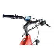 Elektrische fiets met achterwielmotor bafang Leader Fox Nara 2023 36V 45Nm 14Ah 18''